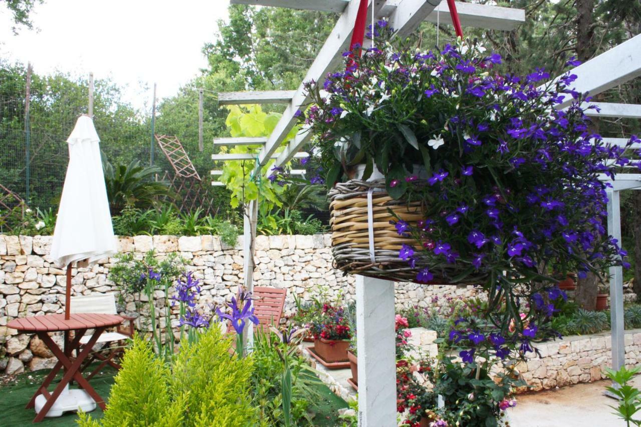 Mini Suite Alla Cascata Νότσι Εξωτερικό φωτογραφία